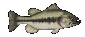 fbass_anim_31404.gif
